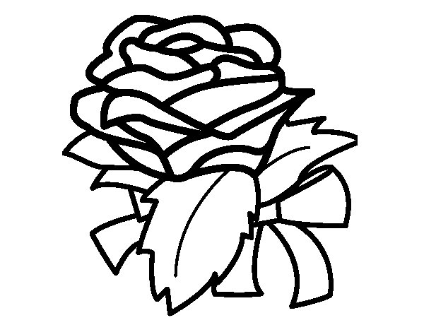 una classe coloring pages of a rose - photo #33