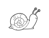 Dibujo de L’escargot