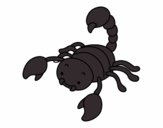 Scorpion avec piqûre soulevé