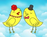 Oiseaux de mariage